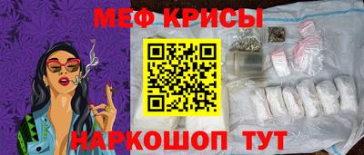 ешки Кингисепп