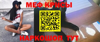 ешки Кингисепп