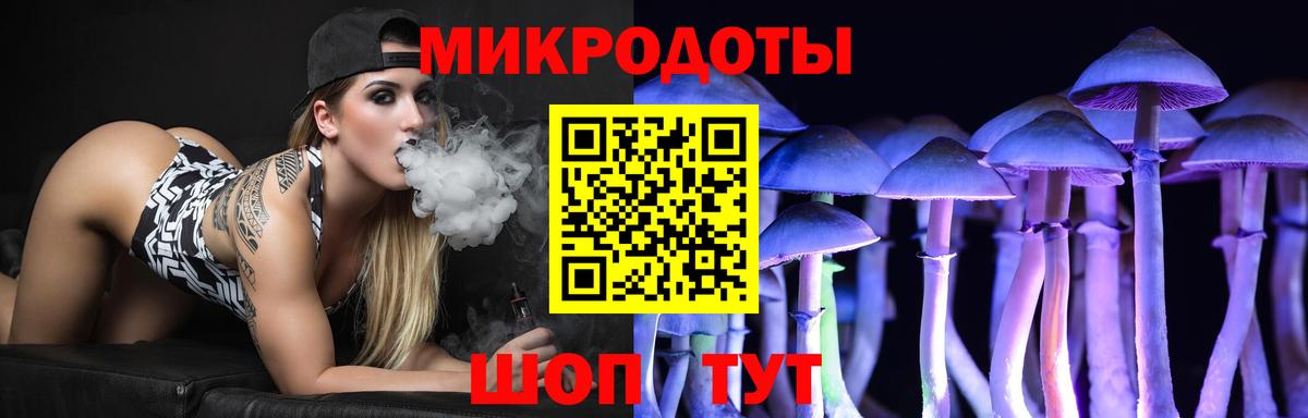 Псилоцибиновые грибы Cubensis Куйбышев